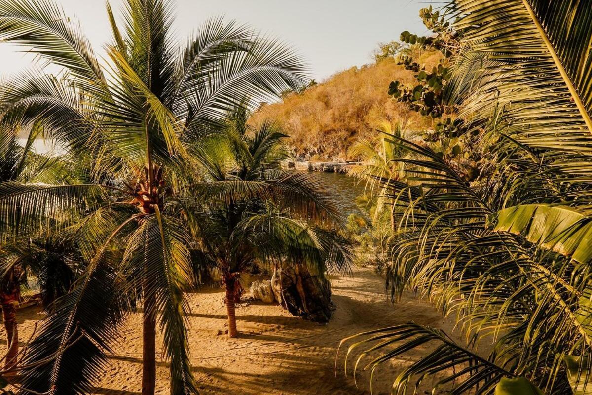 Dream Villa With Private Beach And Catering Zihuatanejo Dış mekan fotoğraf